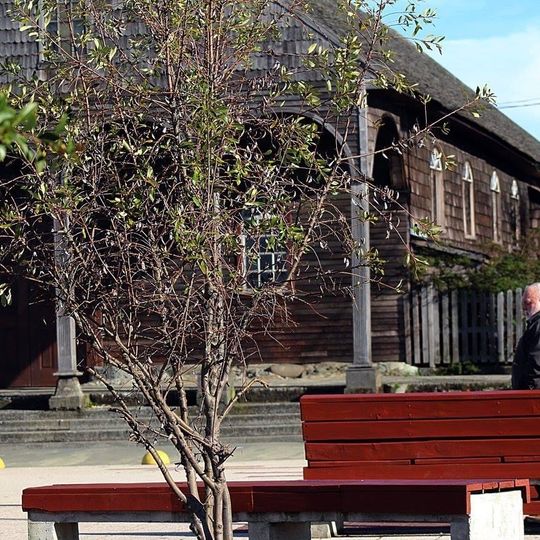 Molino Curaco de Velez