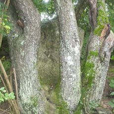Milestone About 200 Metres North Along Green Lane To West Of St Mary's House