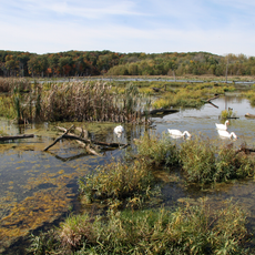 Lake Vermilion