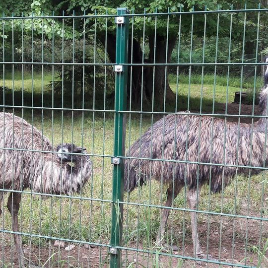 Tierpark Bad Liebenstein