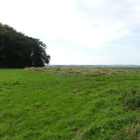 Bole Hill bowl barrow