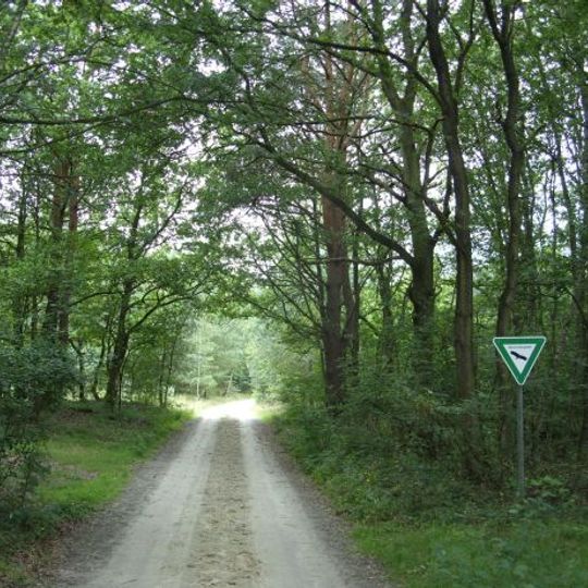 Heide und Moor bei Haslah