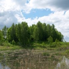 Brūveru pilskalns