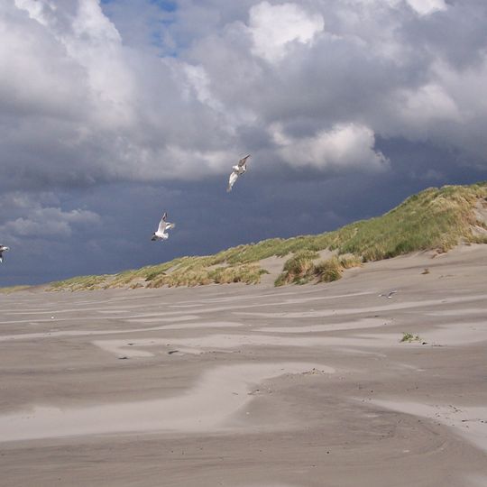 Duinen Terschelling