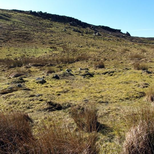 Round cairn, 150m ESE of Kingscrag Gate