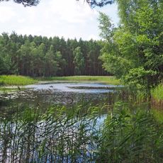 Erlenbruch - Oberbusch Grüngräbchen