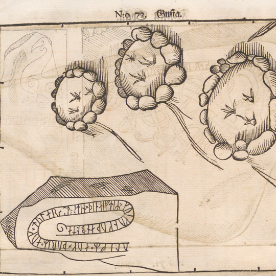 Uppland Runic Inscription 235