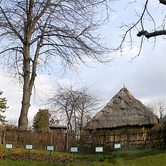 Museo della vita e dell'architettura popolare della Transcarpazia