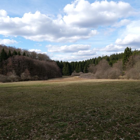 Weihergrund von Anspach
