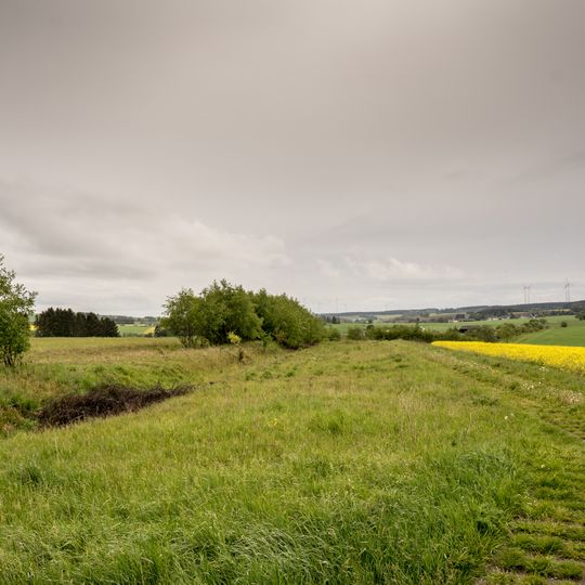 Grünes Band Sachsen / Bayern