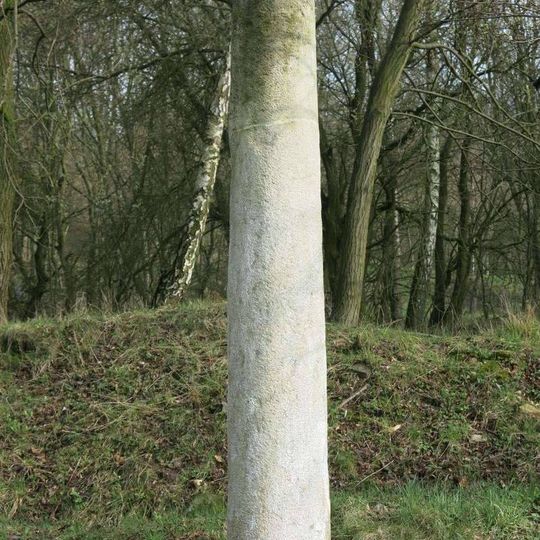 Kamenný sloup u silnice do Čeřeniště