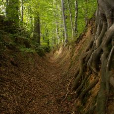 Nature reserve Barania Góra
