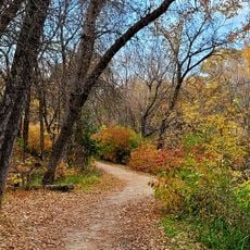 Bunn's Creek Trail