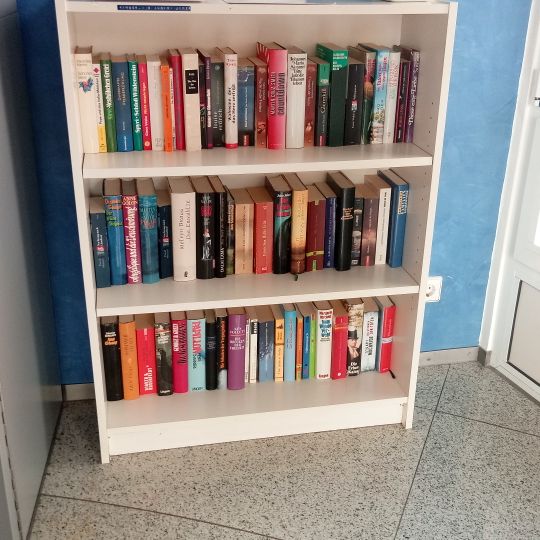 Öffentlicher Bücherschrank Mudau