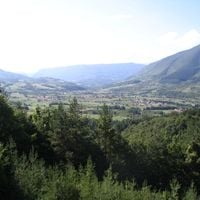 Ribnik