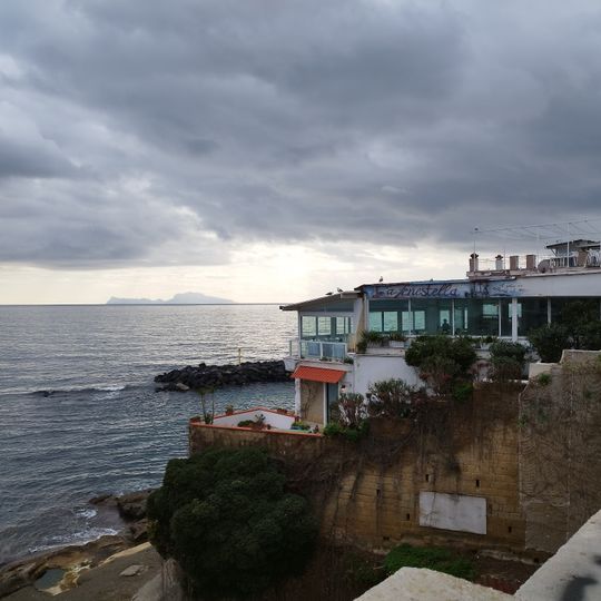 'A Fenestella