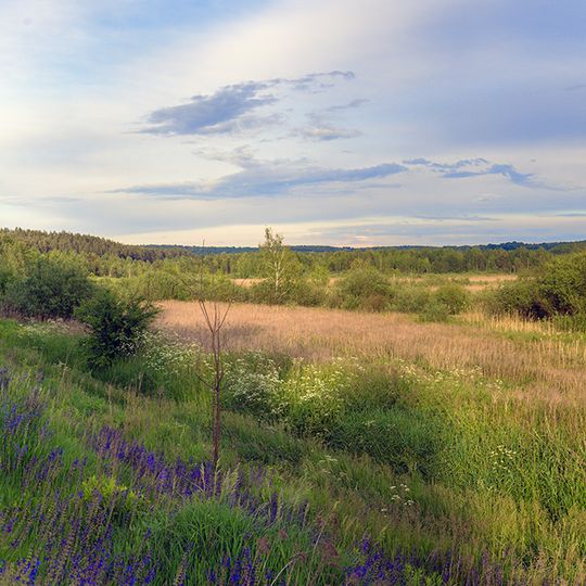 Dermansko-Mostivskyi Regional Landscape Park