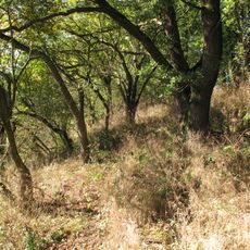 Stráně Hlubockého dolu