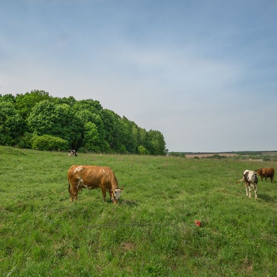 Lukino, Bogorodsky District‎