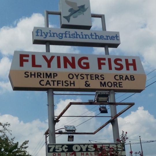Flying Fish