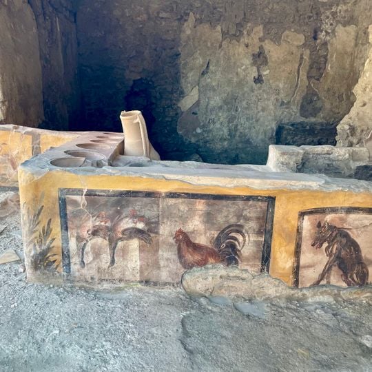 Thermopolium or Caupona of Salvius