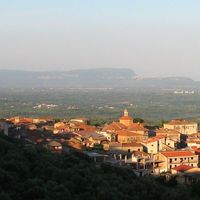 Laureana di Borrello