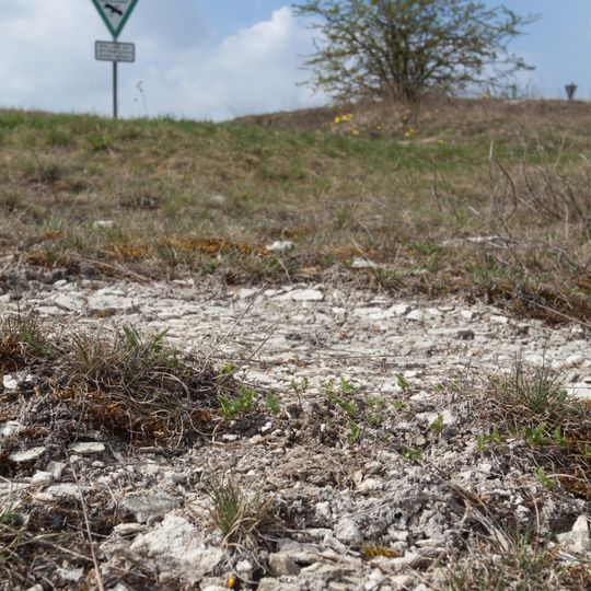 Külsheimer Gipshügel SE von Erkenbrechtshofen
