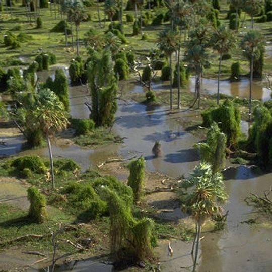 Parc national Río Pilcomayo