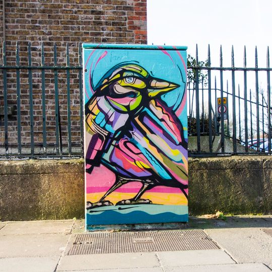 Good Morning Mr Magpie