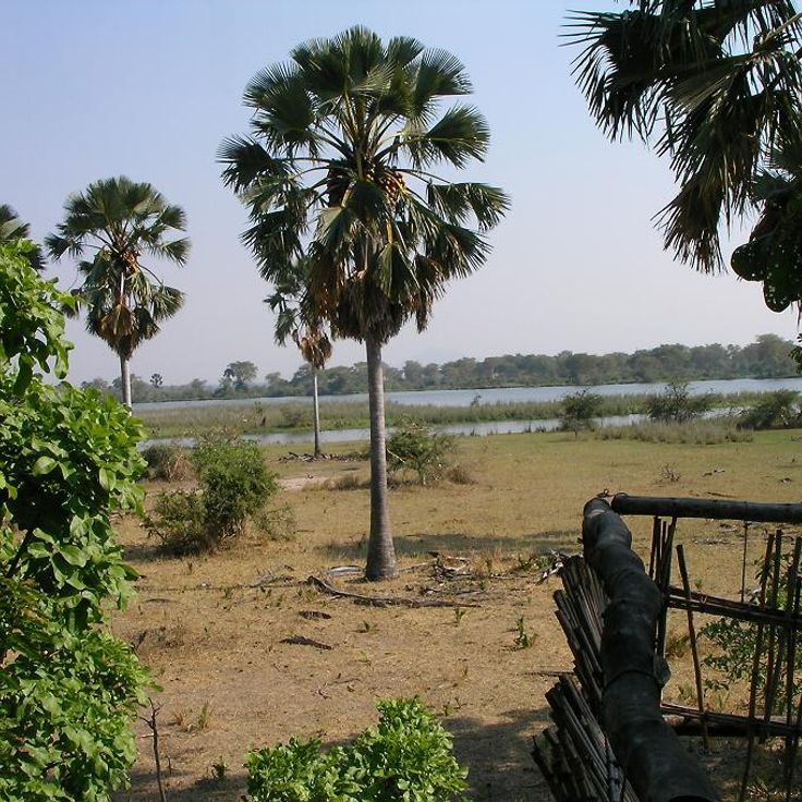 Parque Nacional Liwonde