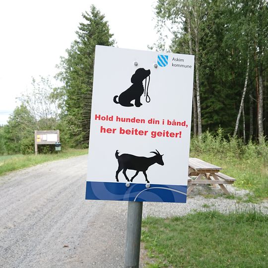 HHold hunden din i bånd, Her beiter geiter.