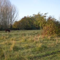 Fenlake Meadows