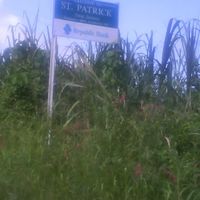 Parrocchia di Saint Patrick