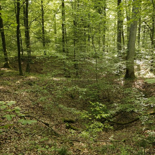 Dolinenketten Oberer Wald