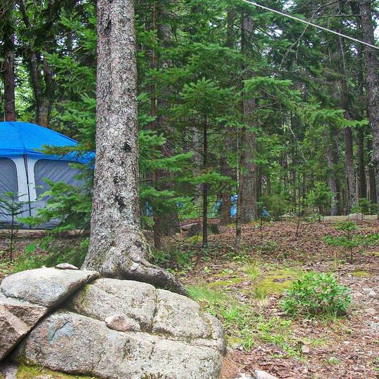 Blackwoods Campground