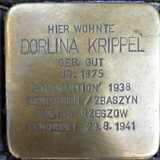 Stolperstein em memória de Dorlina Krippel