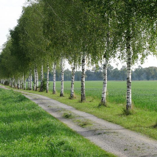 LSG Münchner Norden im Bereich der Gemeinden Garching bei München, Ober- und Unterschleißheim