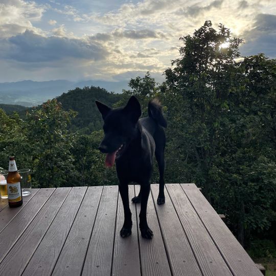 MonSonkeang Camping view ม่อนสันเกี๋ยง