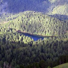 Grünsee