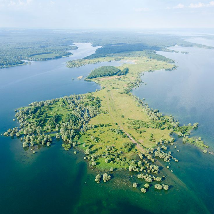 Parque Natural Regional de Montagne de Reims