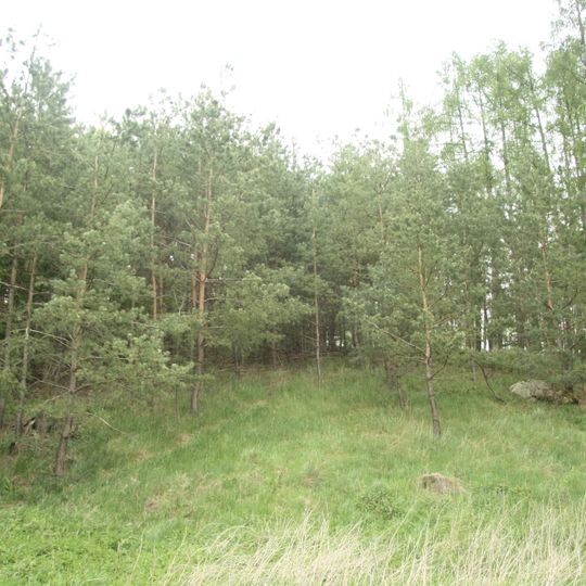 Dub u Nových Dvorů