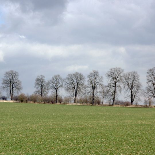 Čtyři aleje kolem Velkopolského dvora – Severní alej