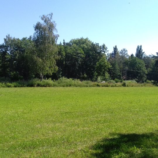 Slatinná louka u Velenky