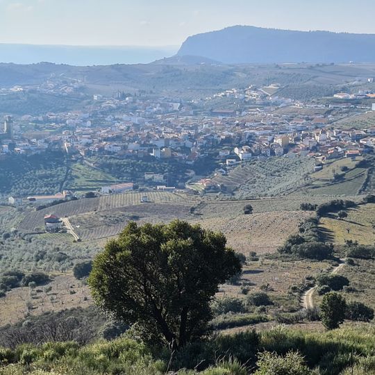 Freixo de Espada à Cinta