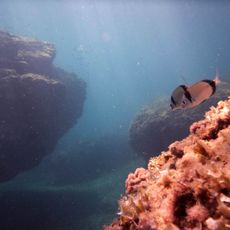 Reserva Marina de Cabo de Palos-Islas Hormigas
