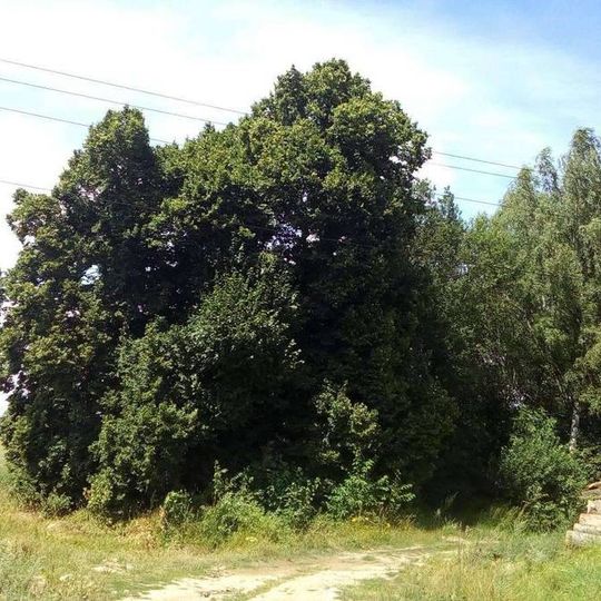 Kříž severně od Cetorazi