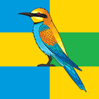 佐洛图哈村委员会