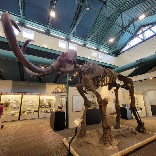 Silver River Museum & Environmental Education Center