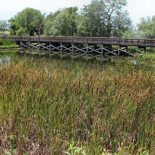 Cedar Hill State Park