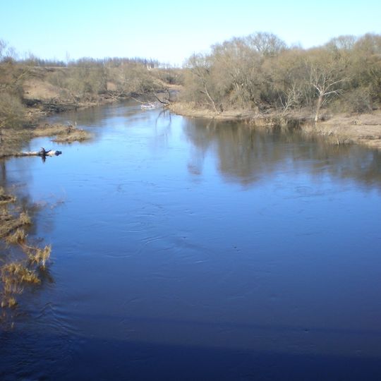 Nevėžis